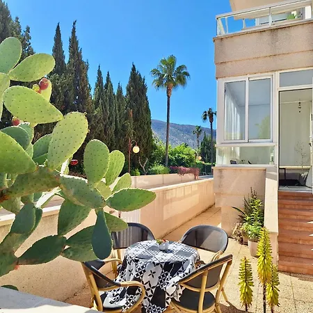 Sunny Albir