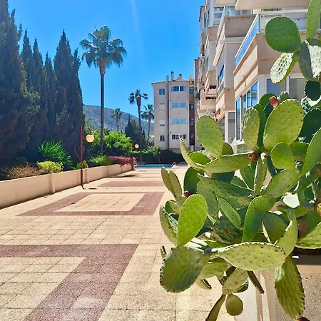 Apartment Sunny Albir El Albir